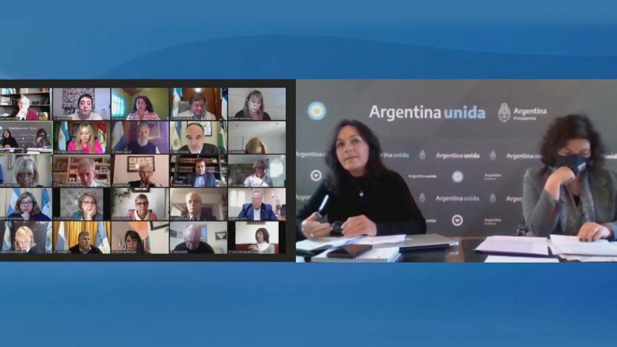 Vizzotti e Ibarra defendieron en el Senado el proyecto con criterios para mitigar la pandemia