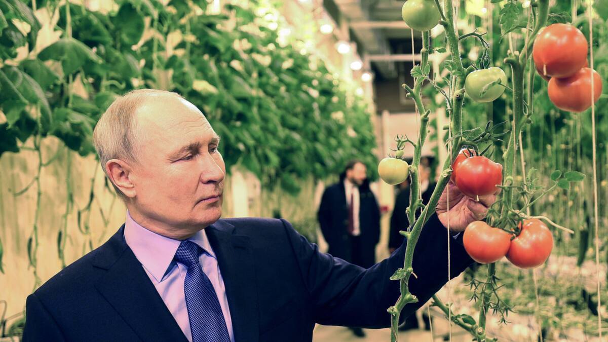Vladimir Putin. Foto: Reuters.