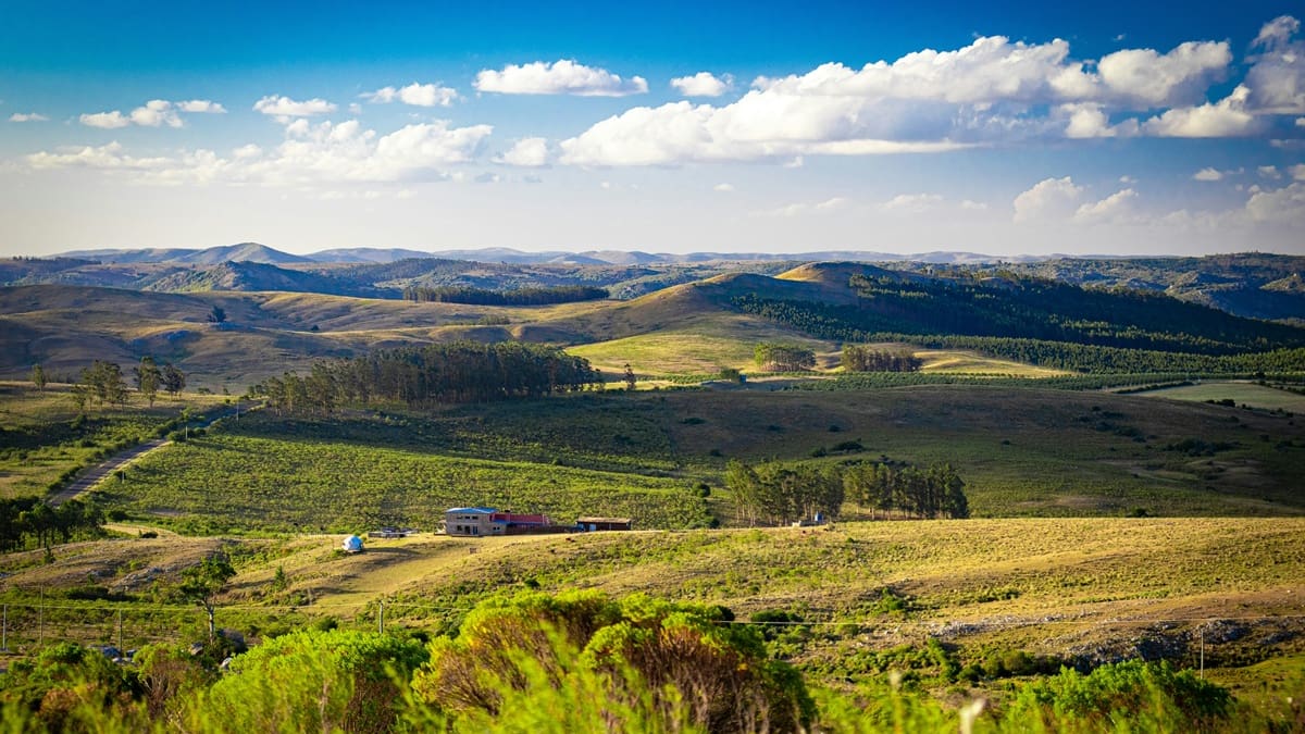 El proyecto se presenta como un refugio para quienes desean alejarse del ritmo urbano y experimentar una forma de vida más cercana a la naturaleza.