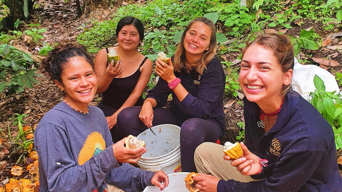 Buscan voluntarios para participar en proyectos ambientales en Argentina, Chile y Perú: incluyen hospedaje y beneficios varios