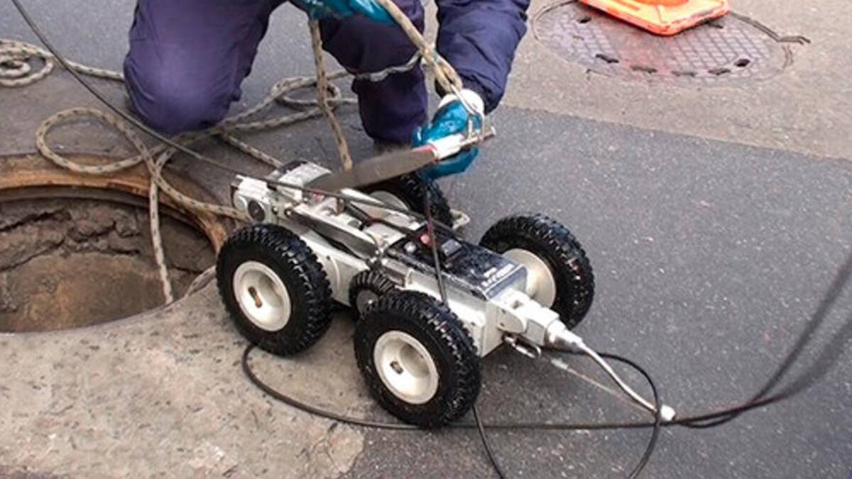 Wall-E porteño de la Ciudad de Buenos Aires. Foto: Ciudad de Buenos Aires.