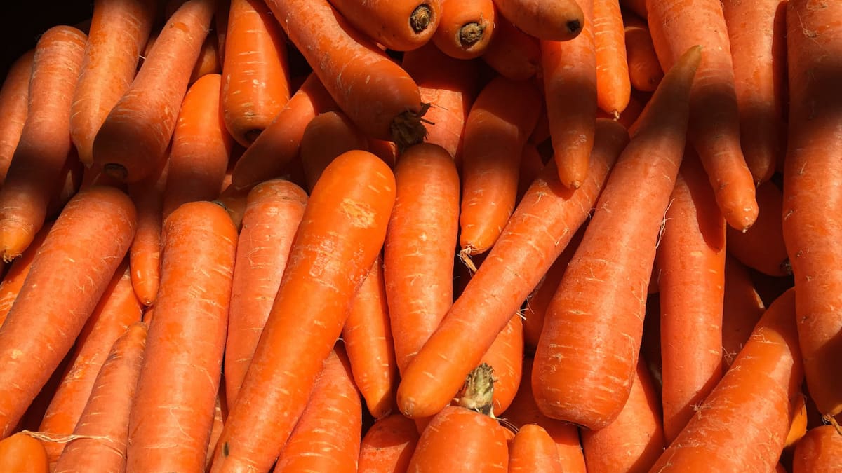 Zanahoria, verdura, salud, raíz. Foto: Unsplash