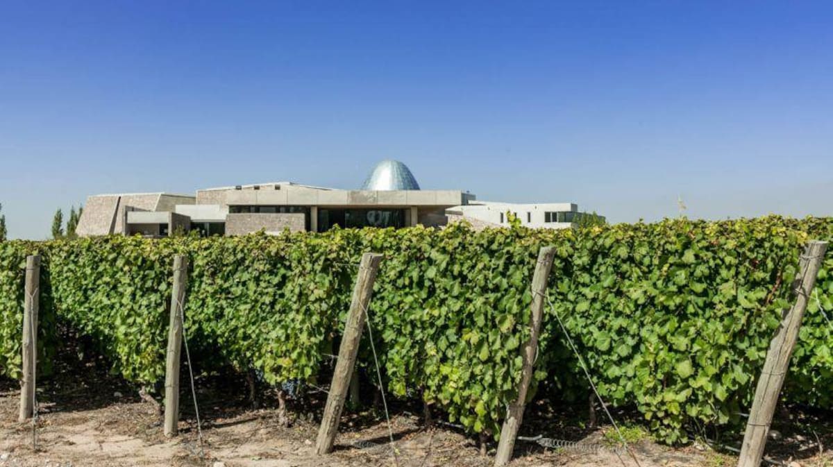 Zuccardi, bodega, Foto gentileza Bodegas Zuccardi